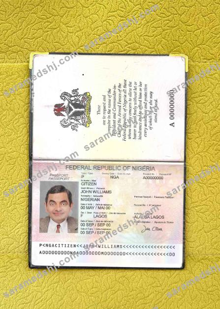 Nigeria passport (2007-2019) photo look